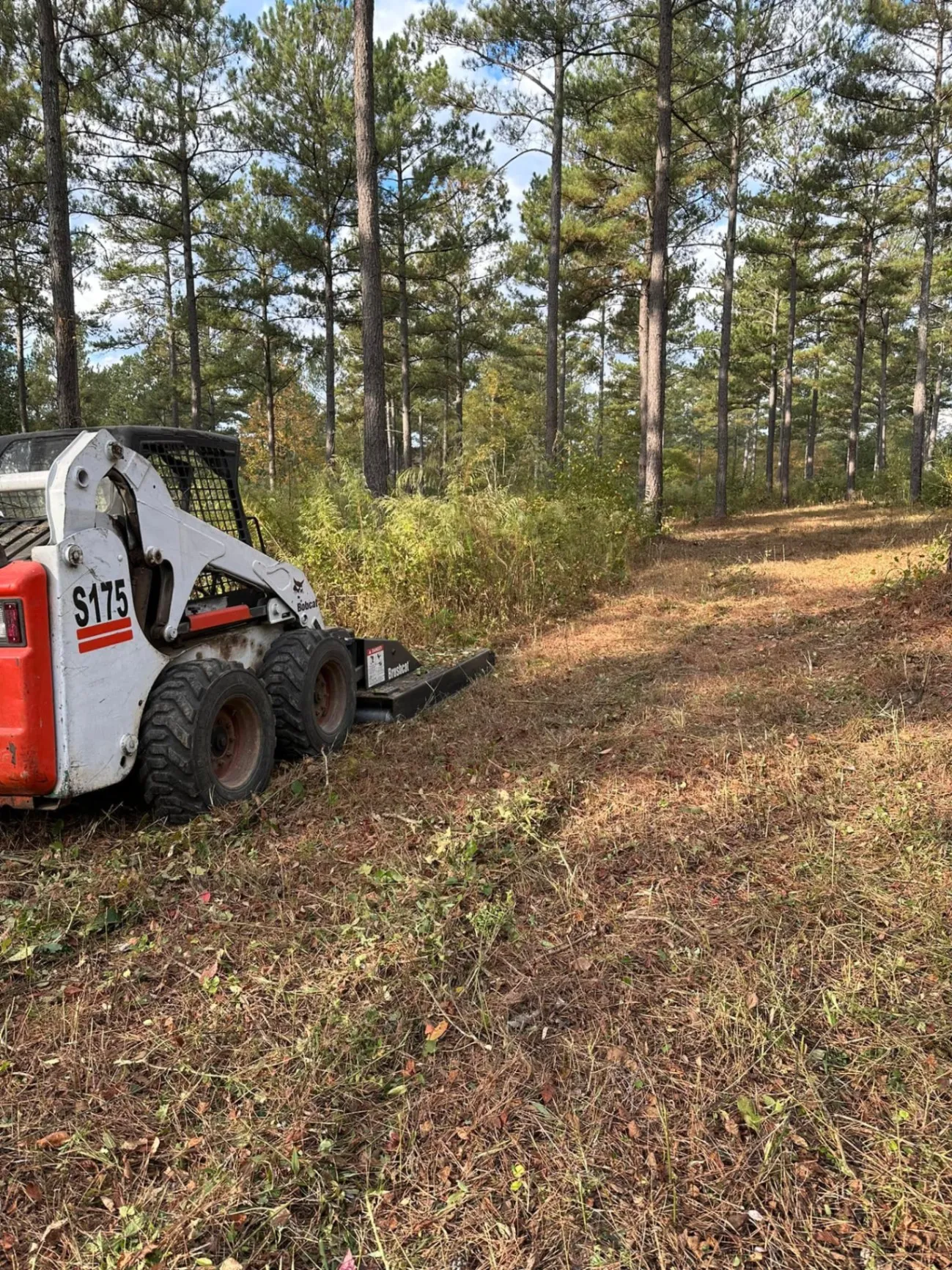 Grounds Maintenance and Tree Services