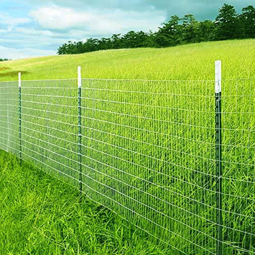 Livestock wire mesh fencing