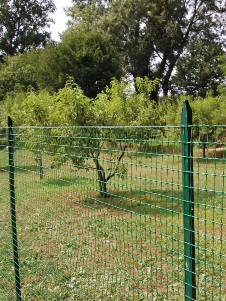 Deer fencing using all steel posts