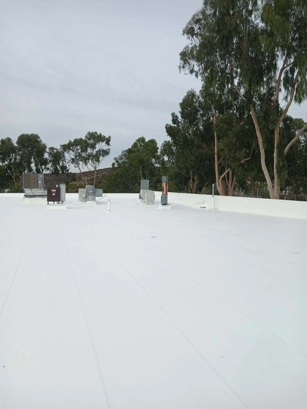 Roof Coating