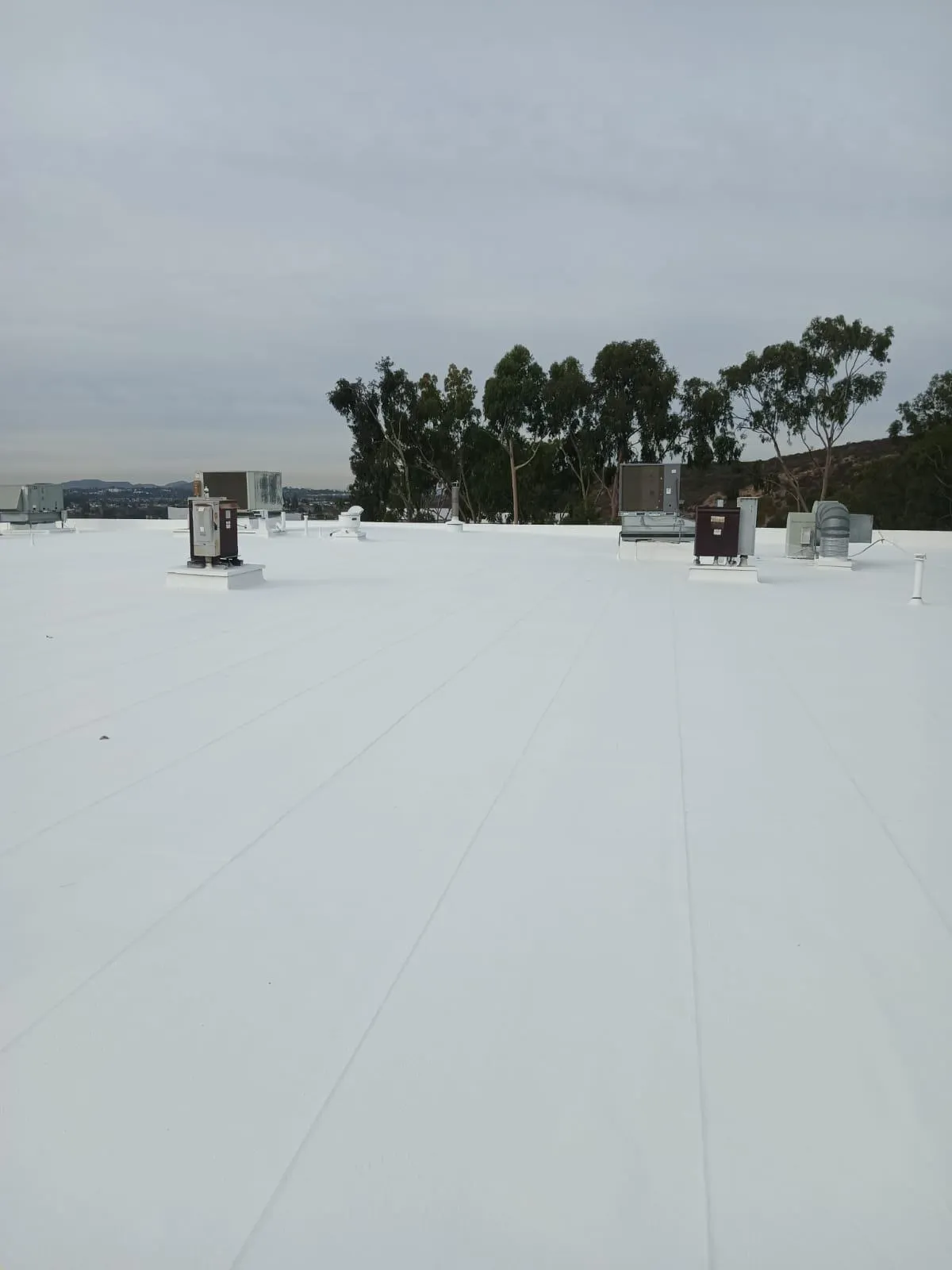 Gallery image 6