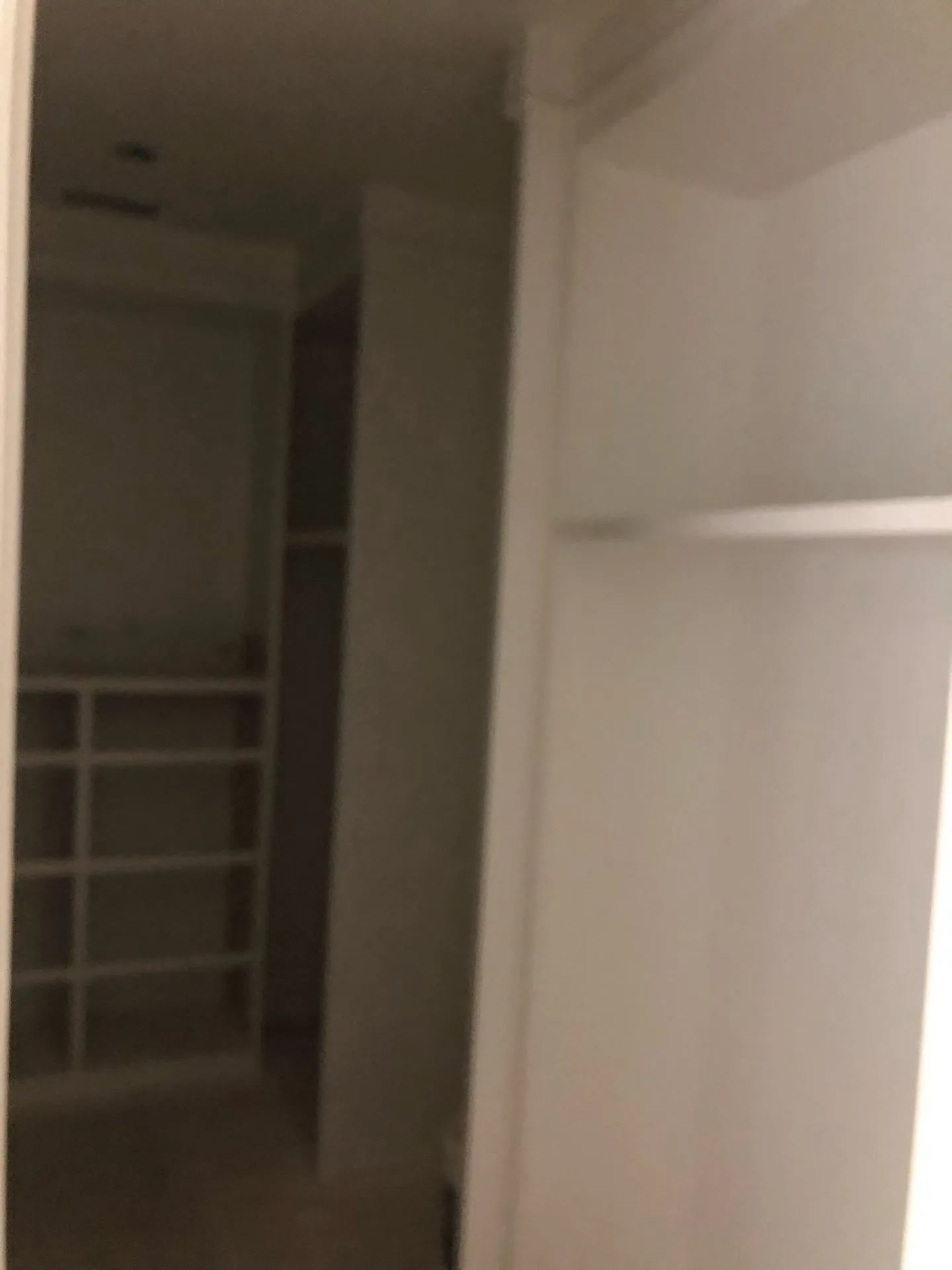 Gallery image 37
