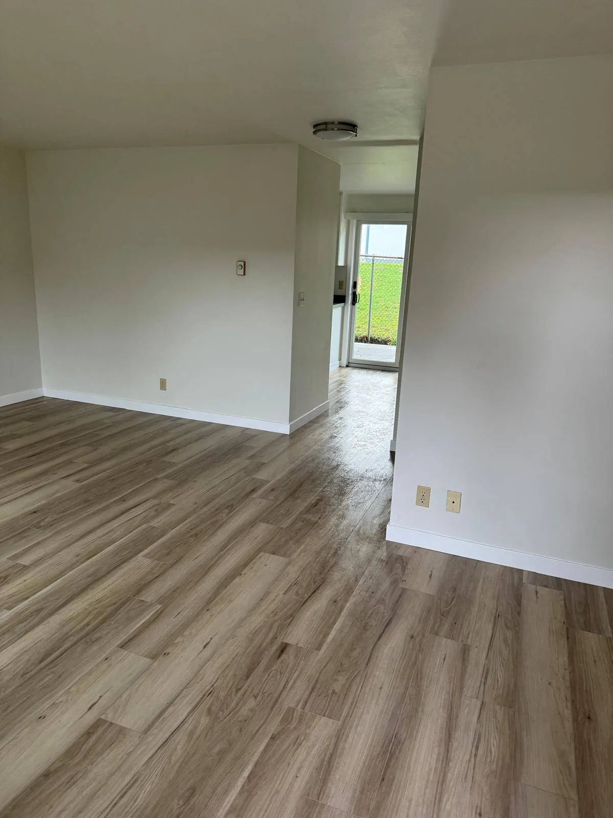 Gallery image 16