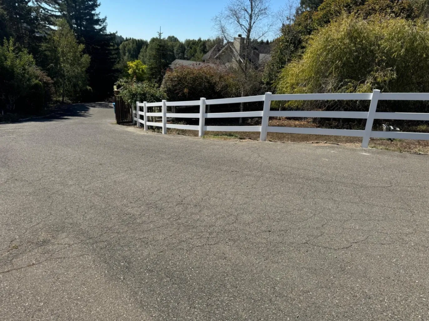 Gallery image 11