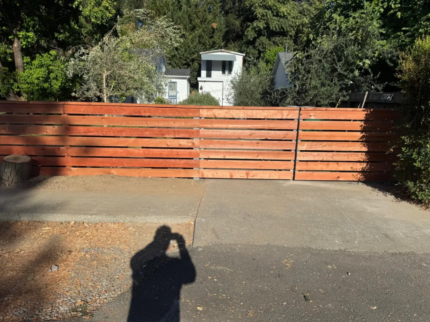 Gallery image 66