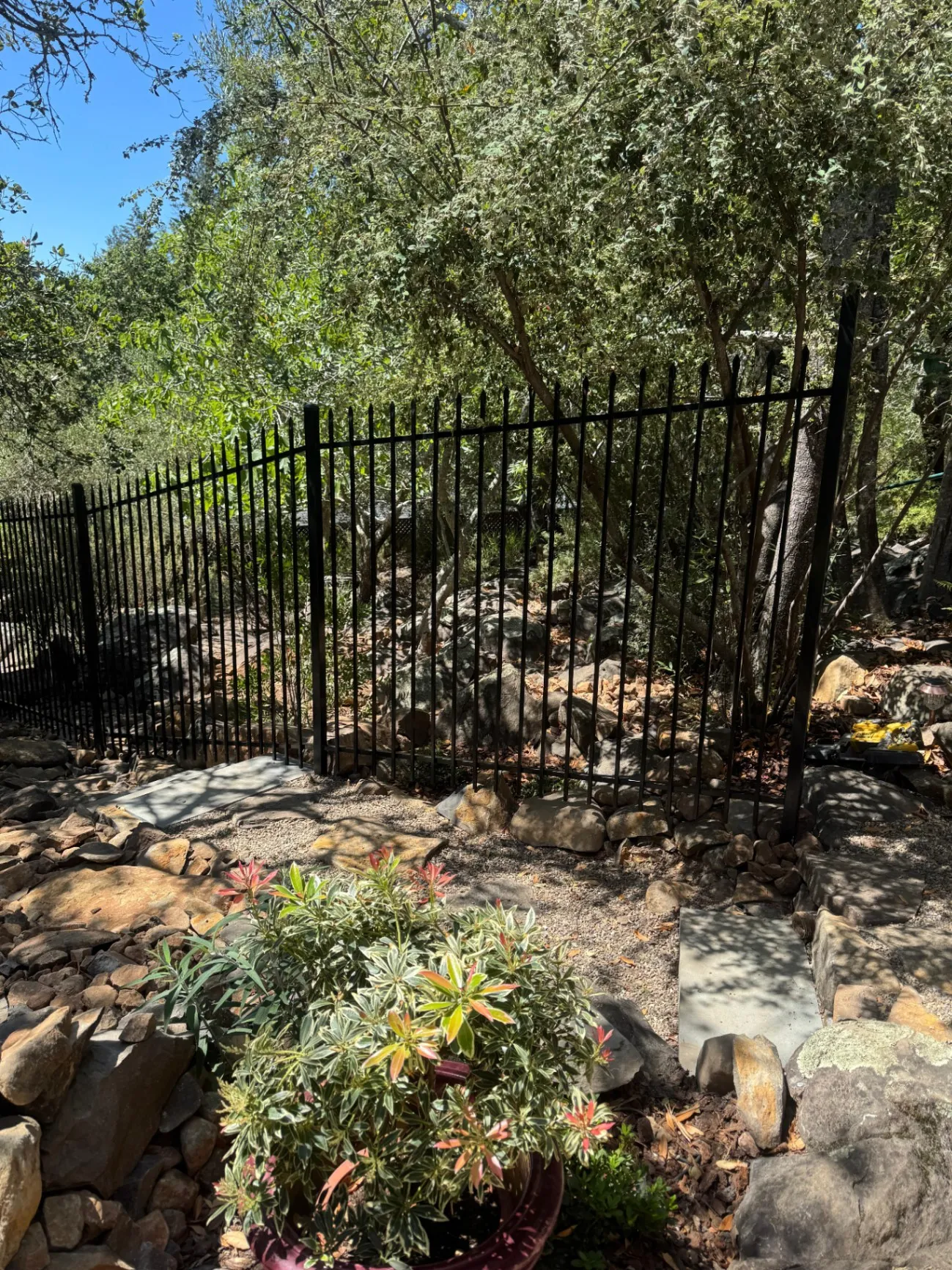 Gallery image 189