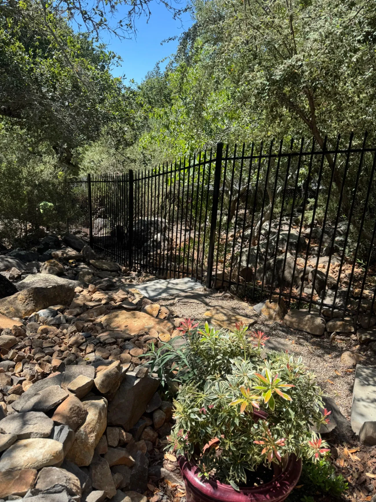Gallery image 188