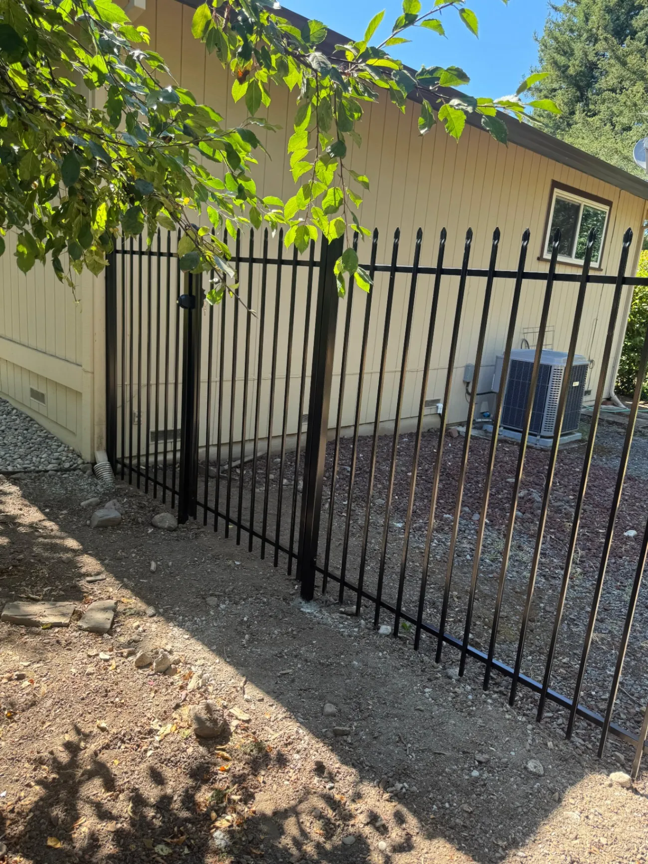 Gallery image 181