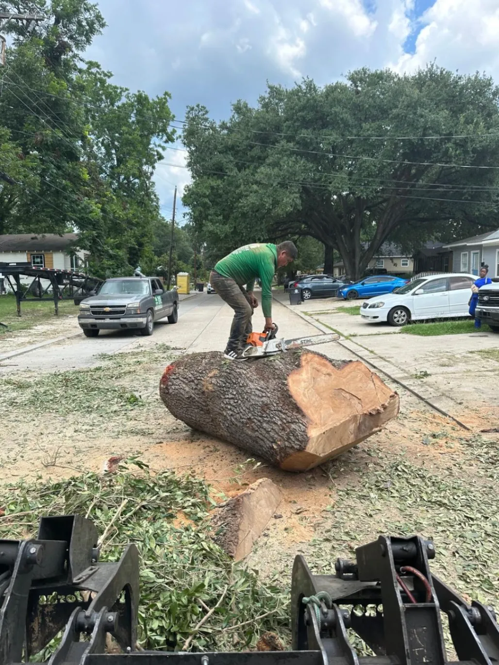 Tree Removal