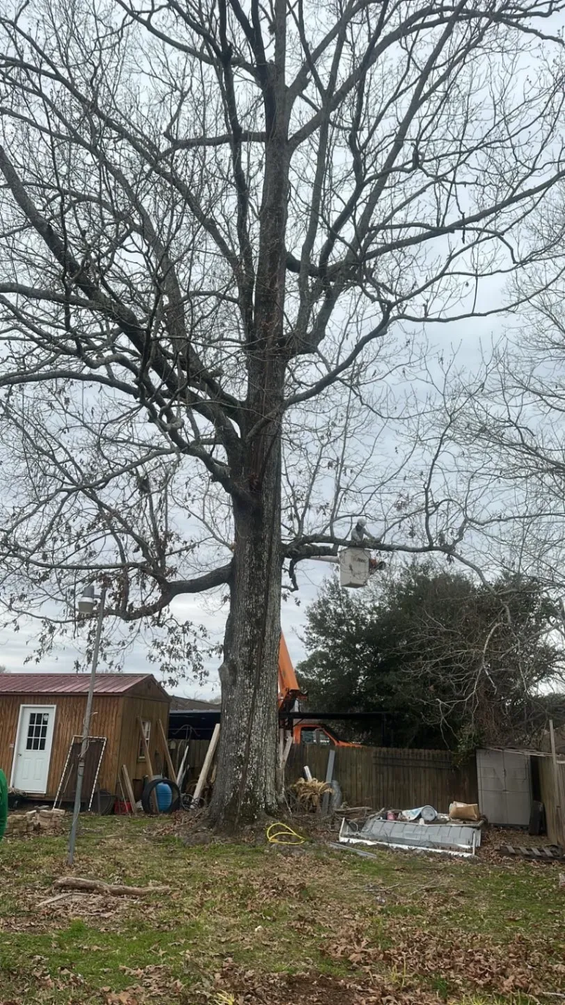Gallery image 17