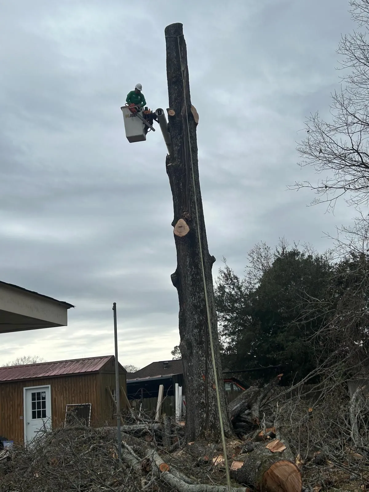 Tree Pruning