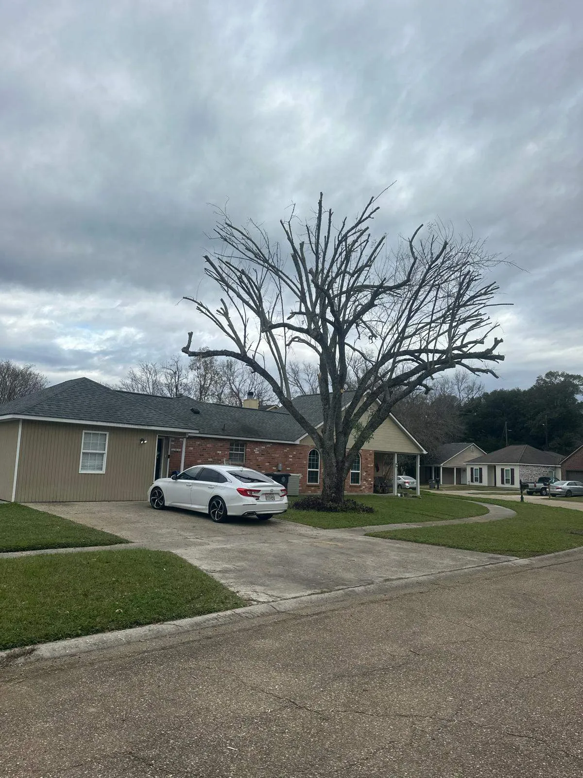 Gallery image 41