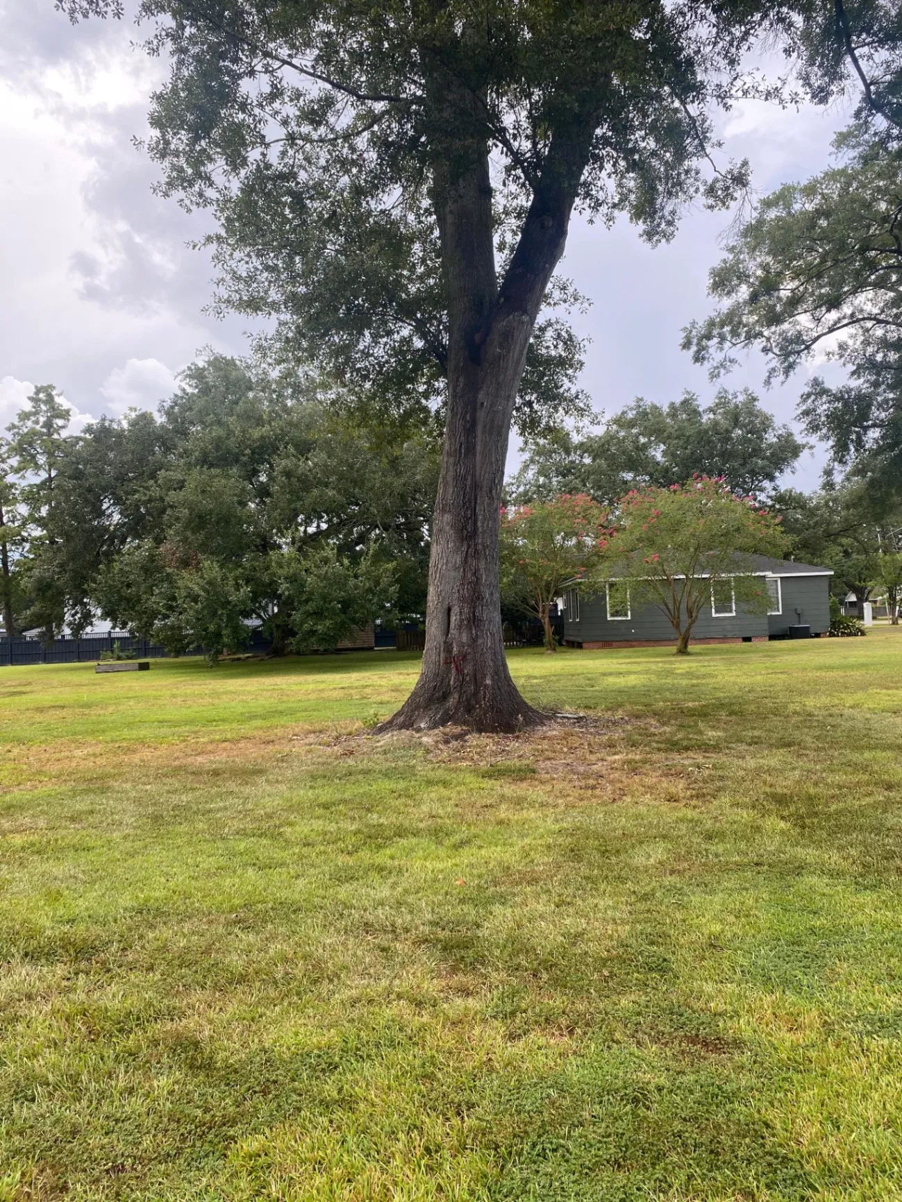 Gallery image 58