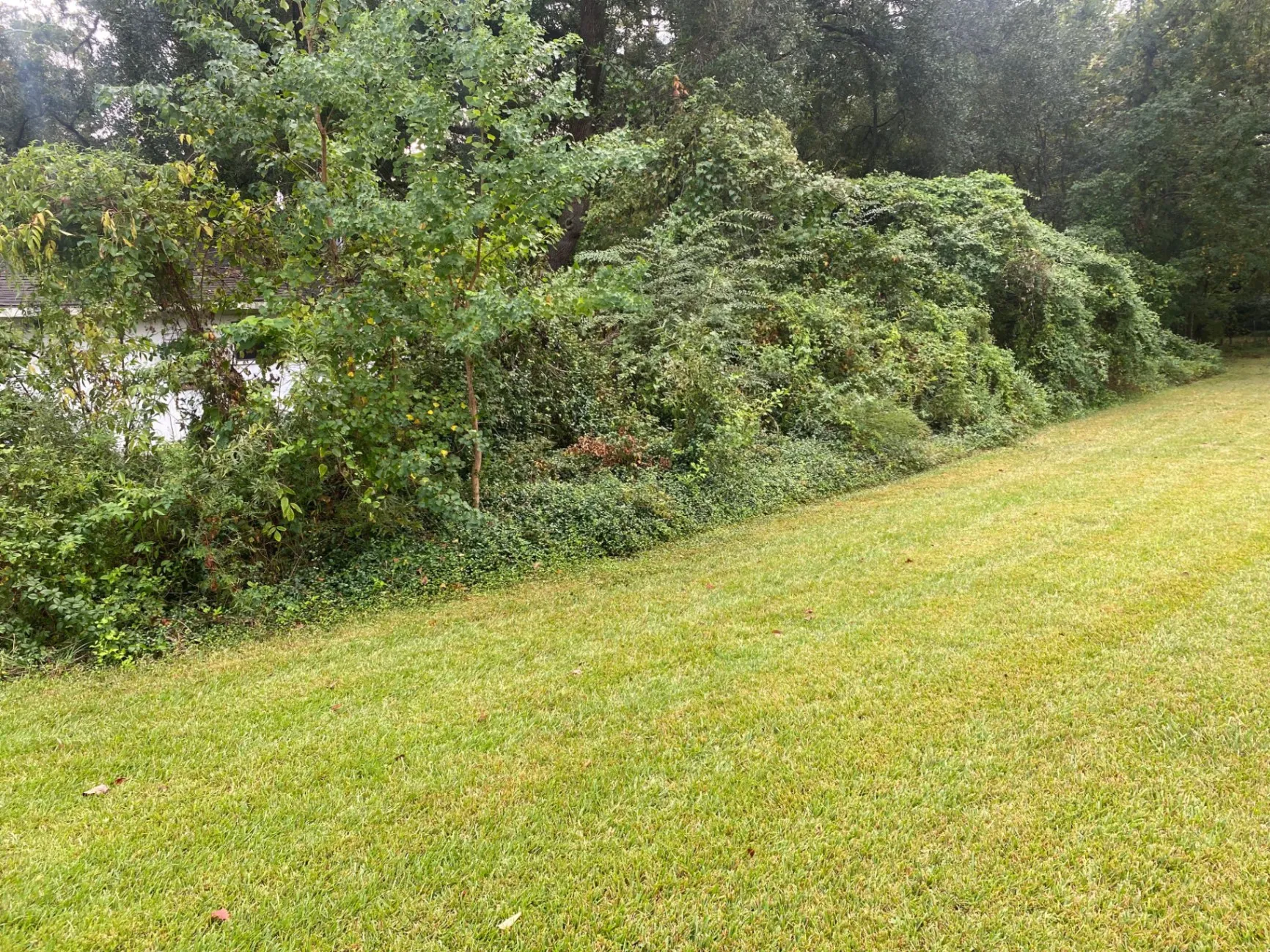 Gallery image 59
