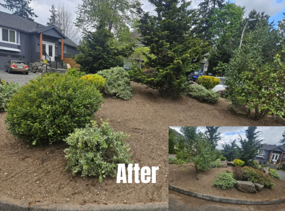 Residential and Commercial Services