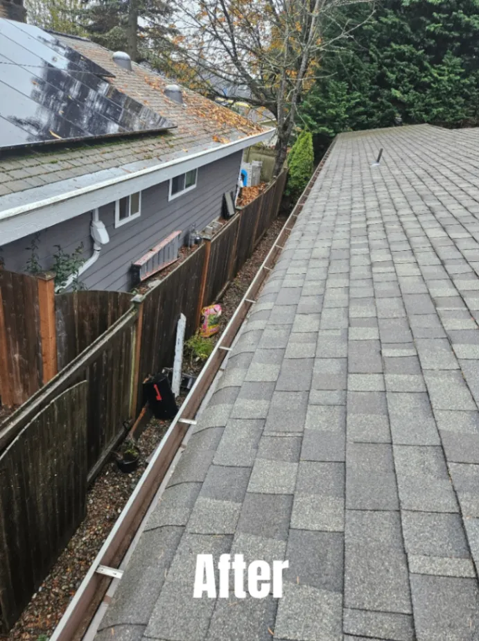 Gutter Cleaning