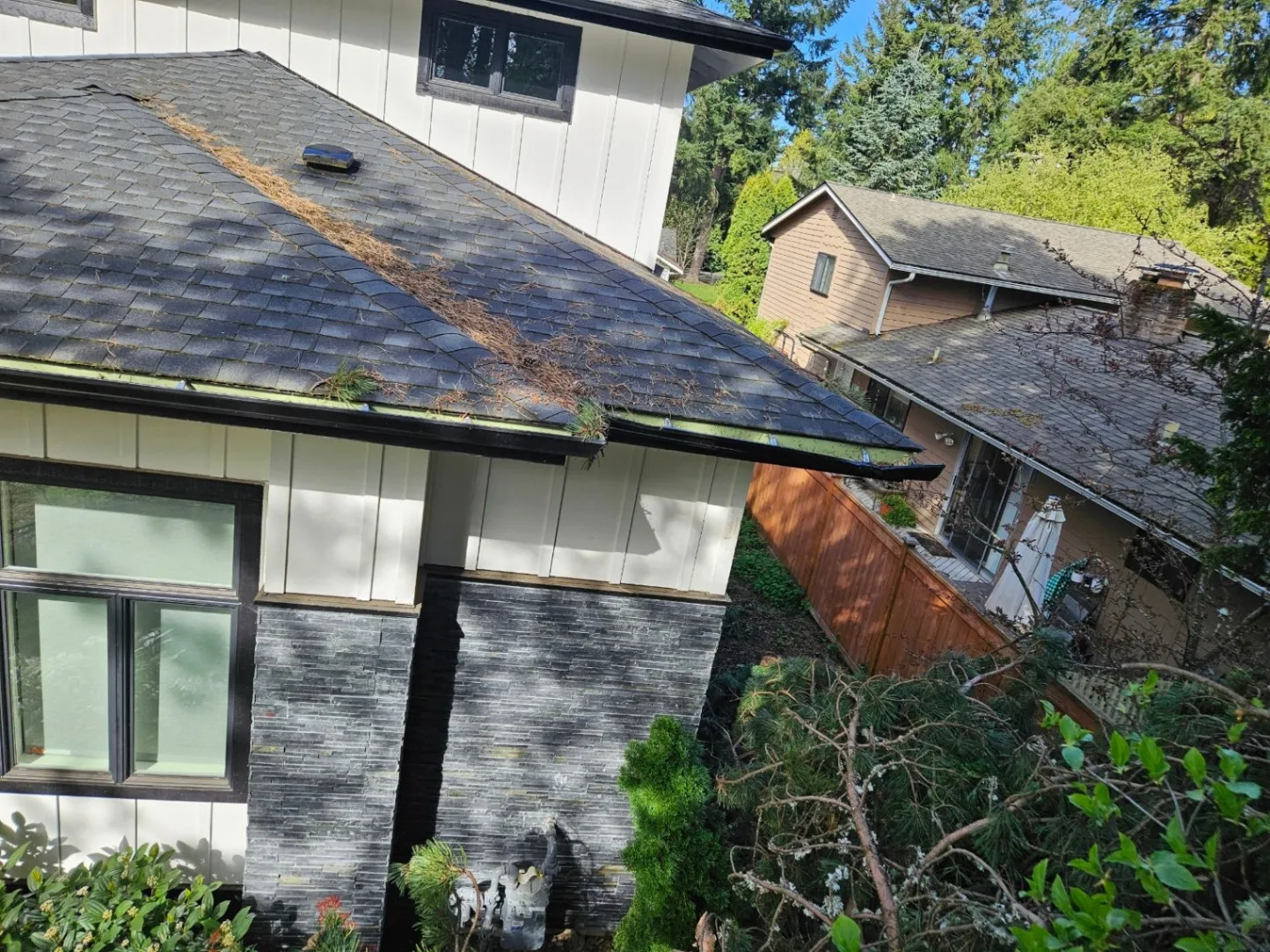 Roof Cleaning in Snohomish, WA