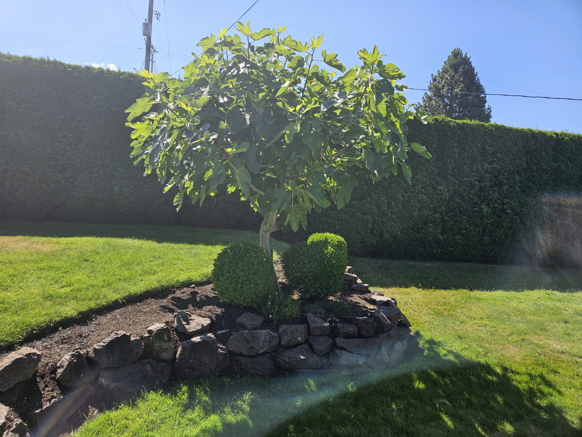 Cleanup Services in Snohomish, WA