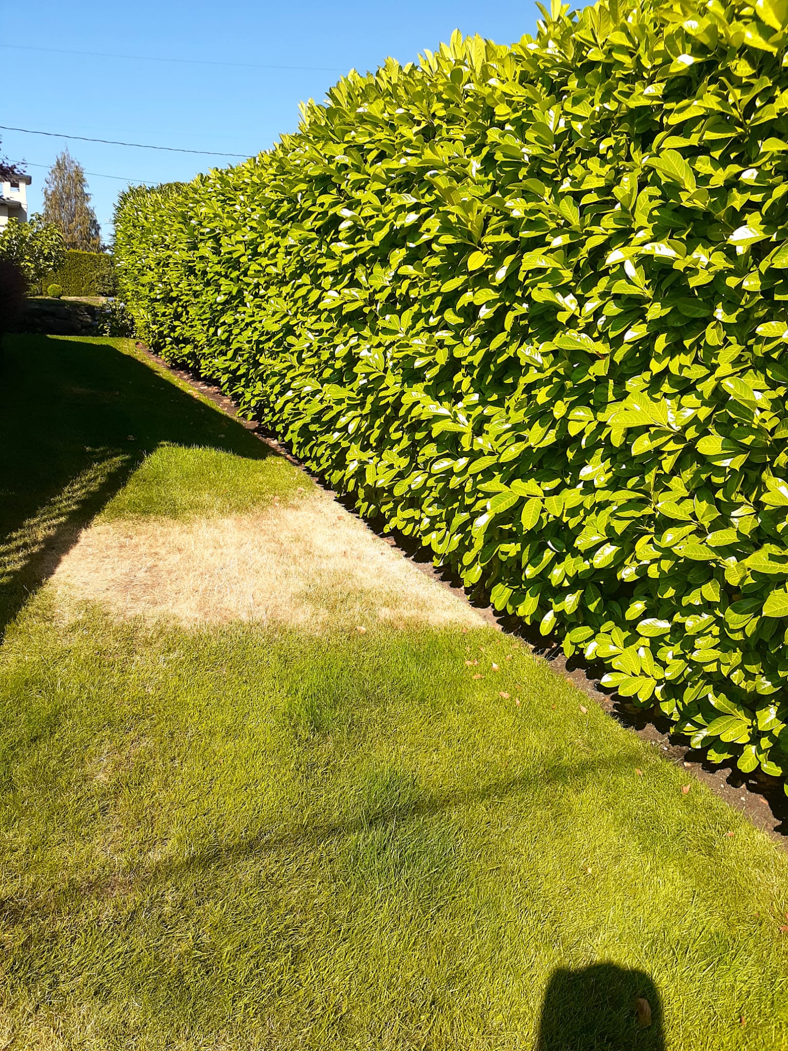 Cactus LLC - Snohomish, WA
