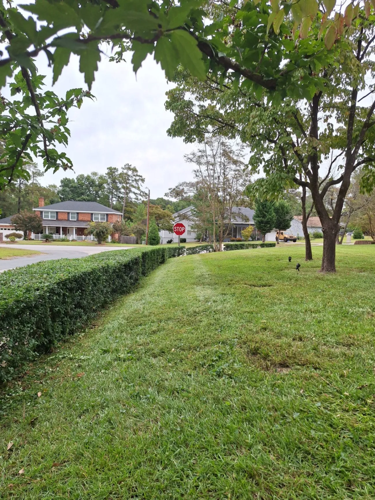 Gallery image 13
