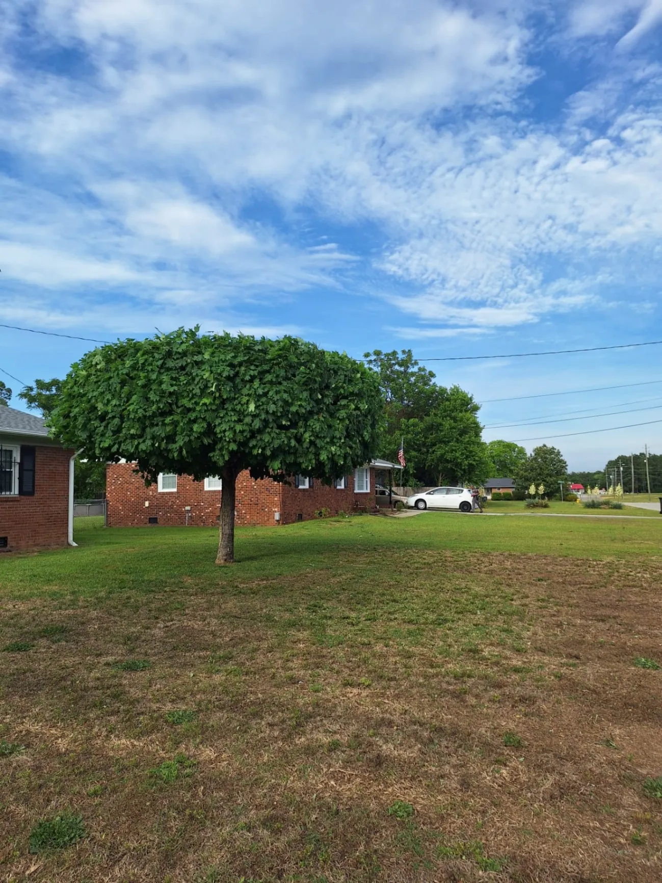 Gallery image 15