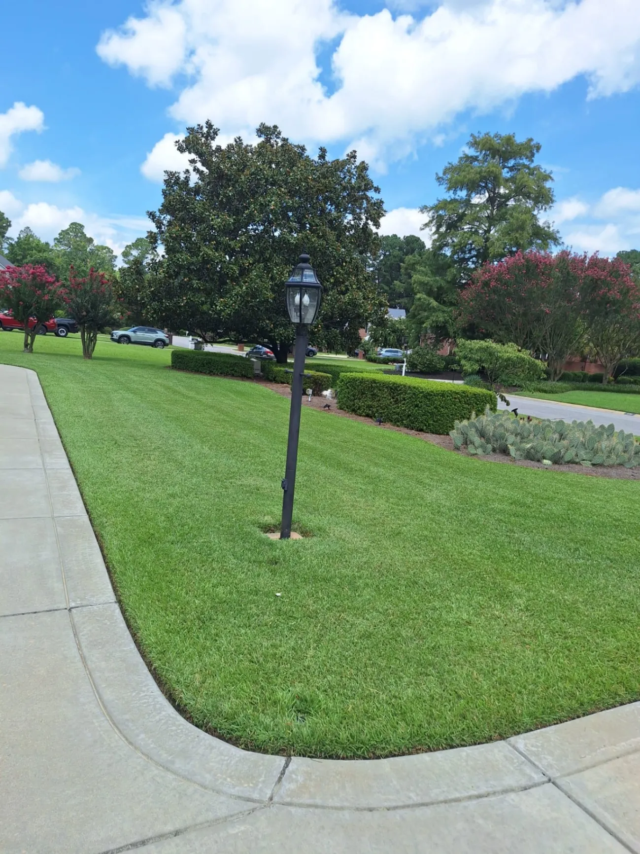 Gallery image 16
