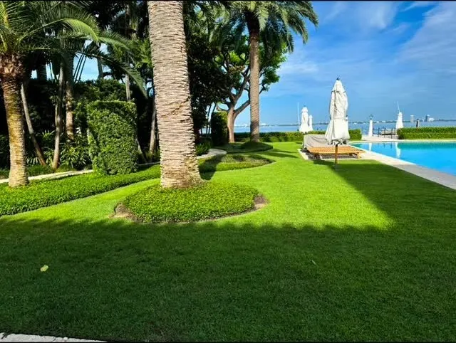 Effective Pest and Lawn Care Solutions
