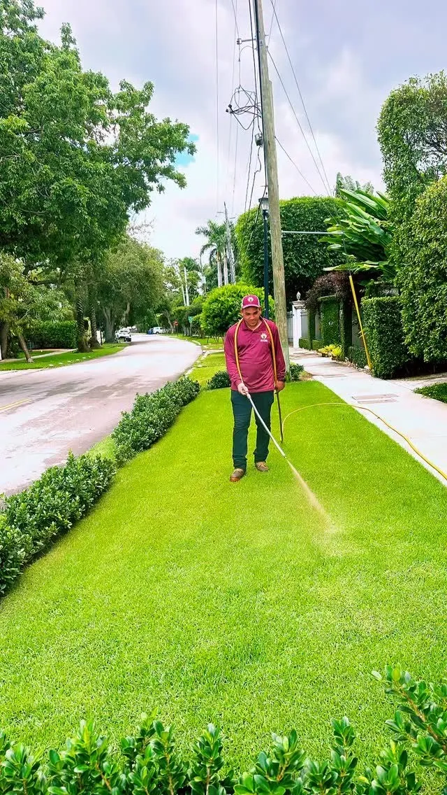 Lawn Spray and Treatment