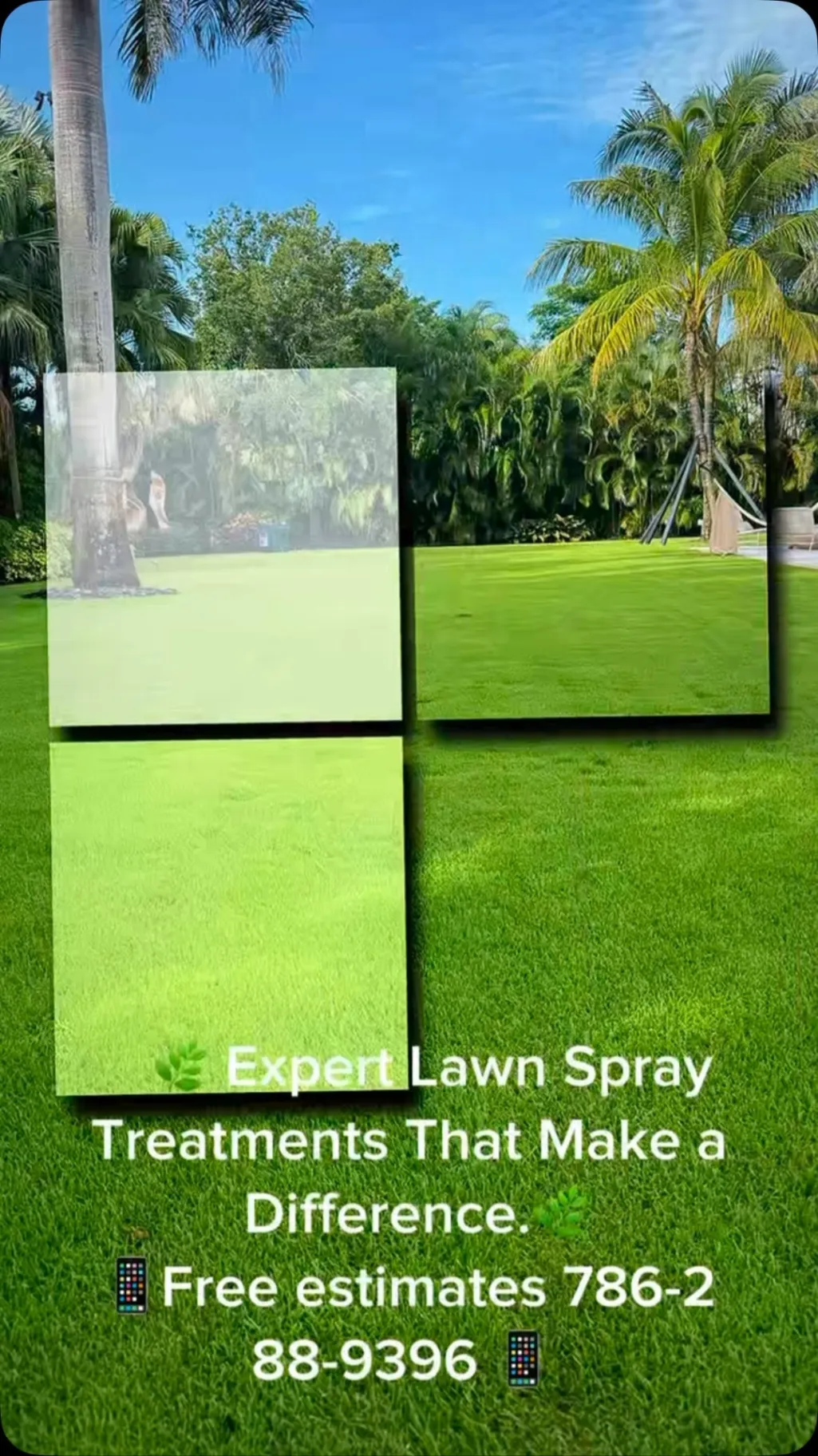 Effective Pest and Lawn Care Solutions 2