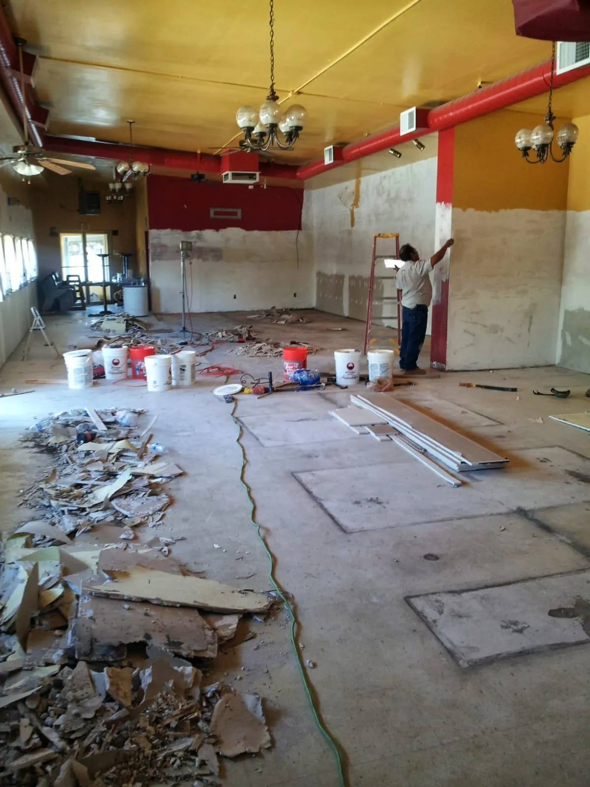 Gallery image 15