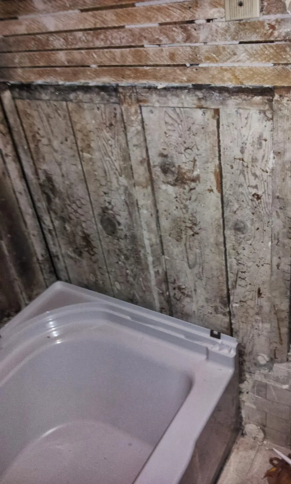 Gallery image 21