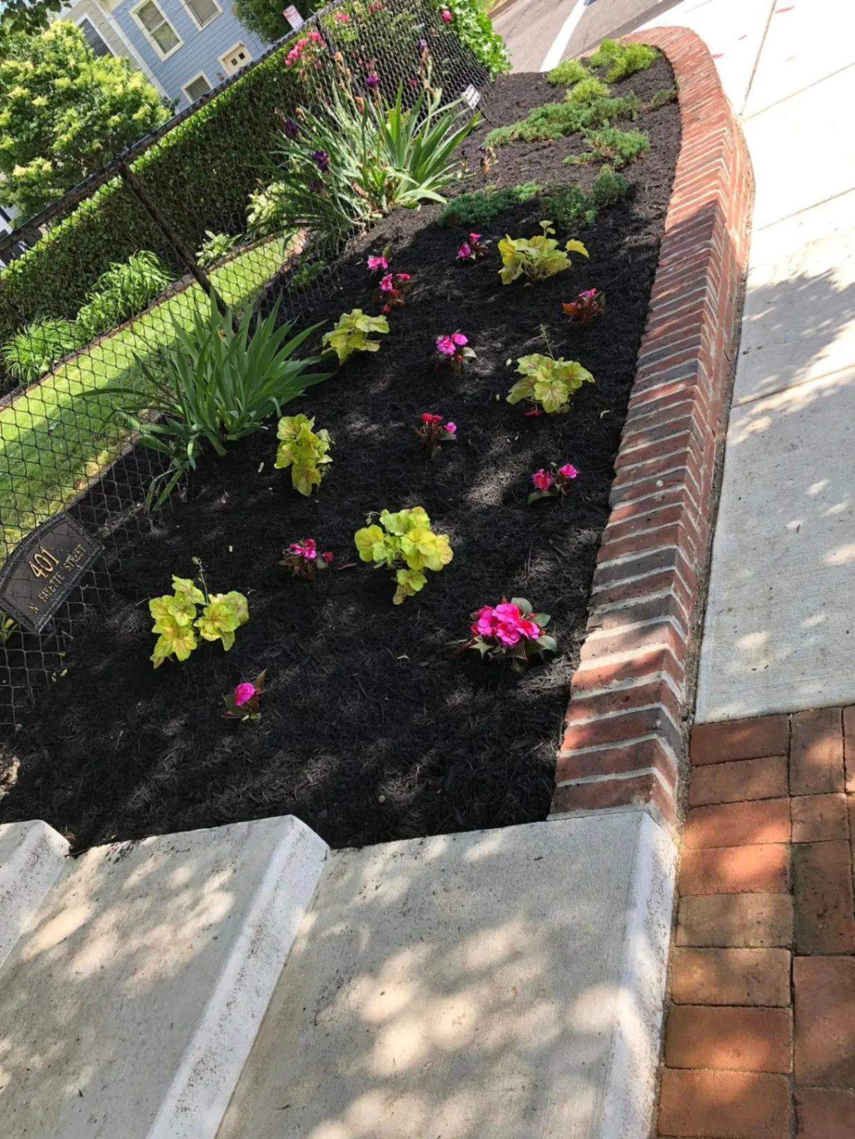 Transform Your Lawn Today