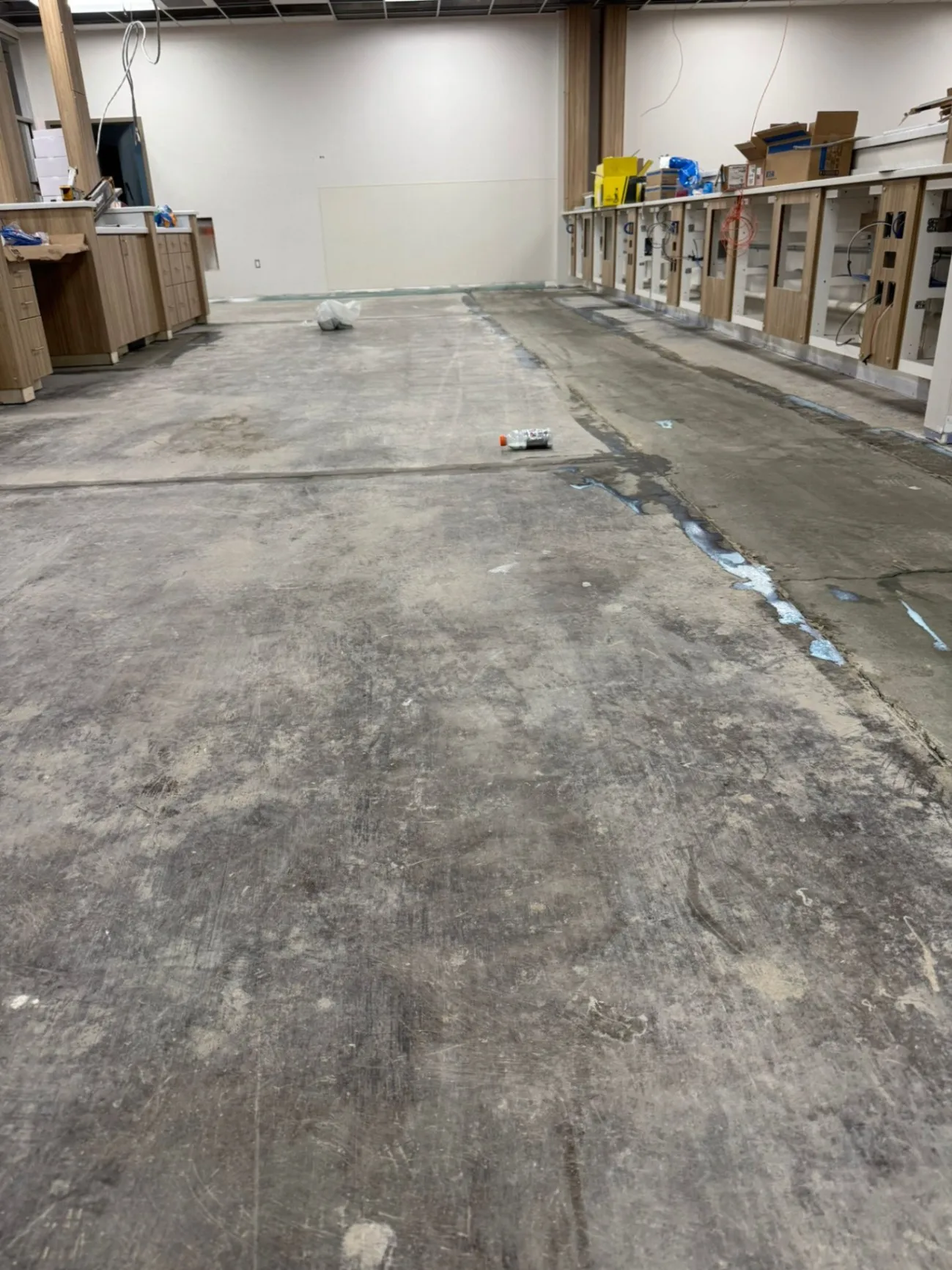 Gallery image 63