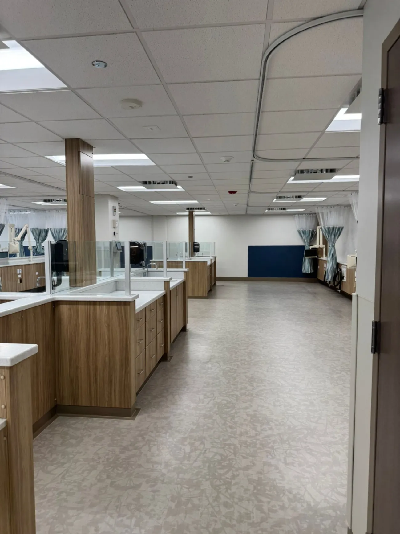 Gallery image 66