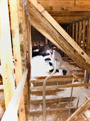 Spray Foam Insulation
