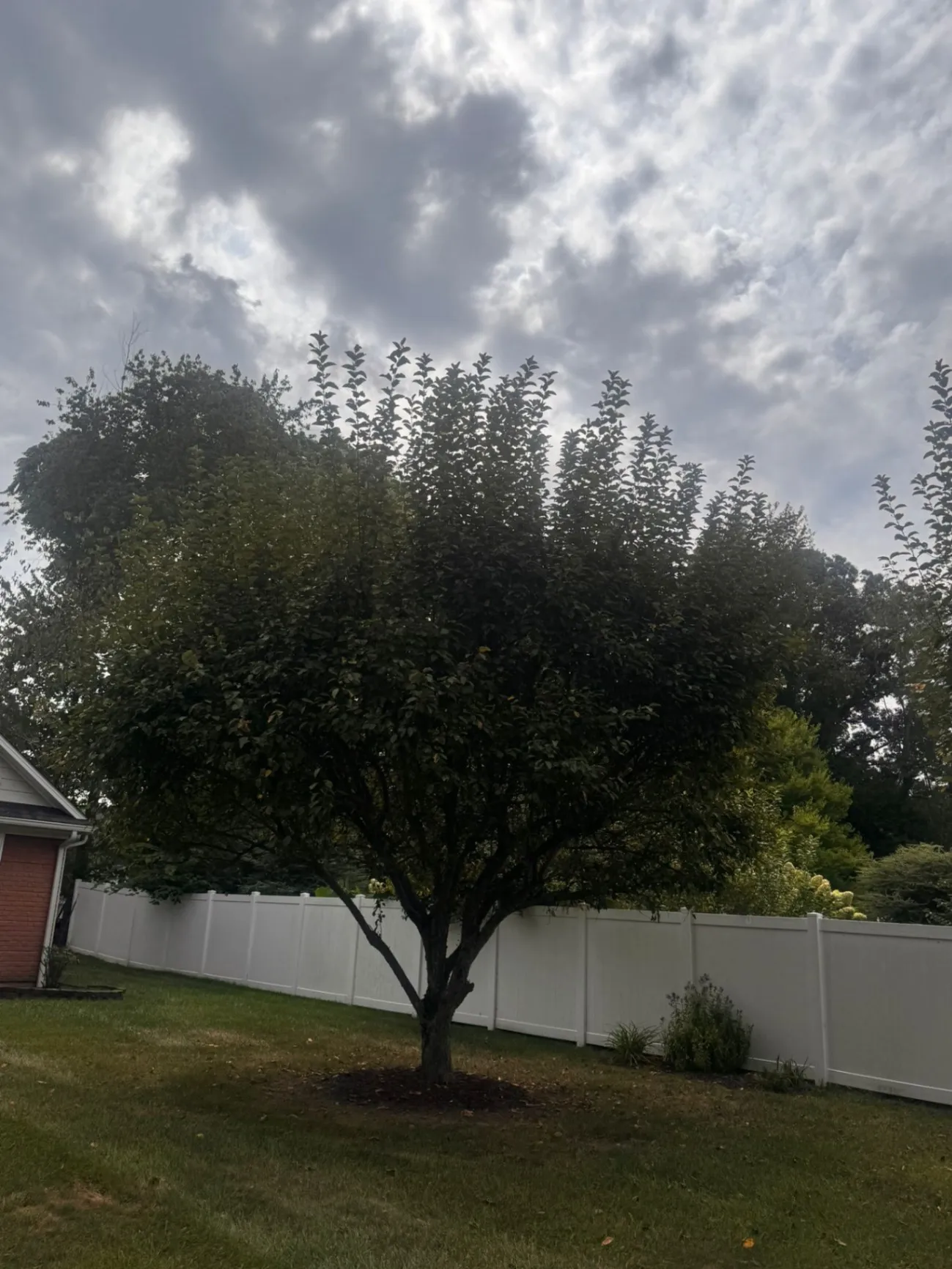 Gallery image 253