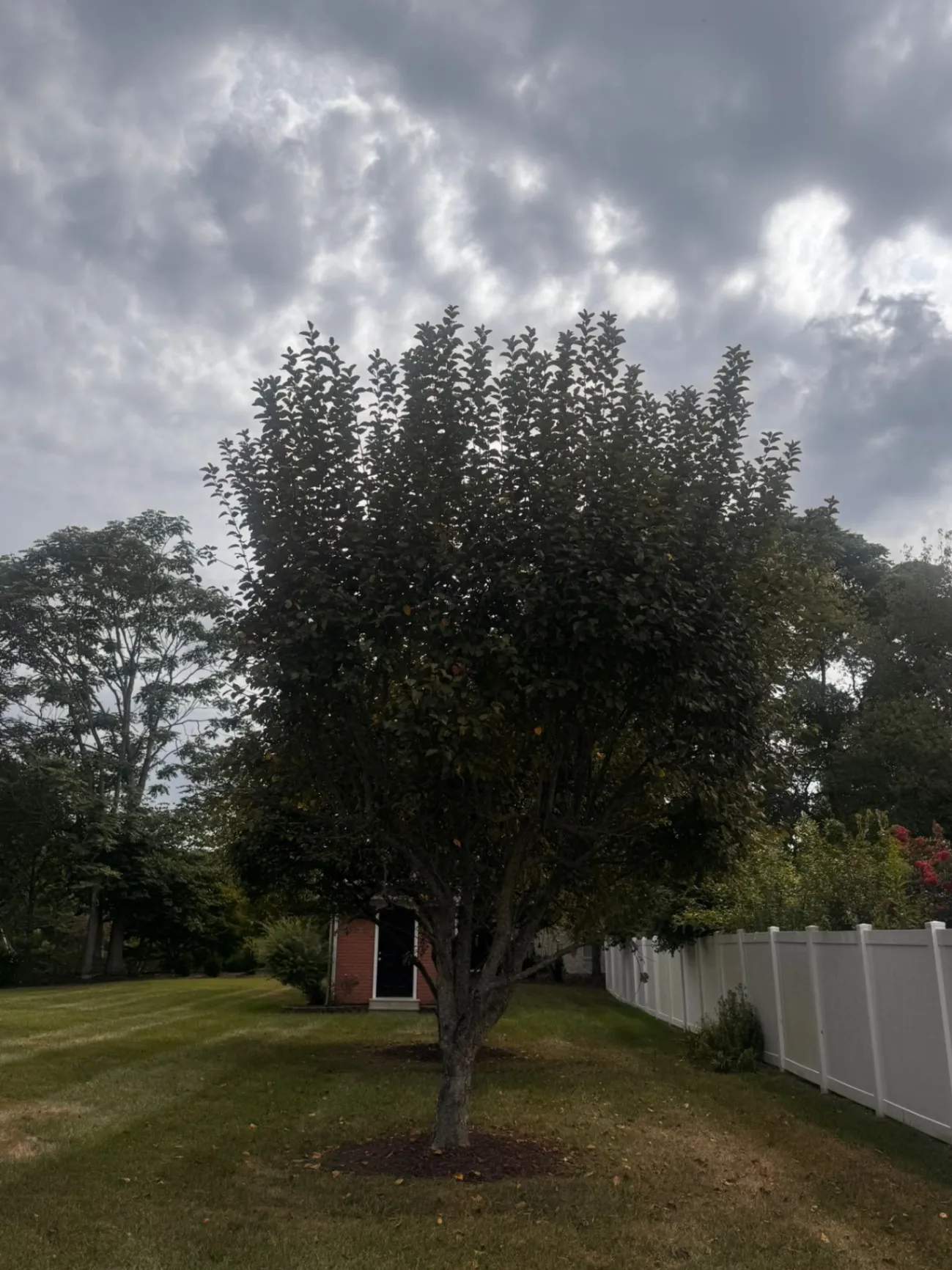 Gallery image 254