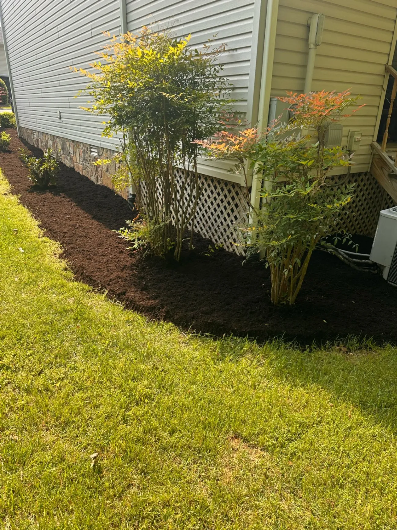 Gallery image 185