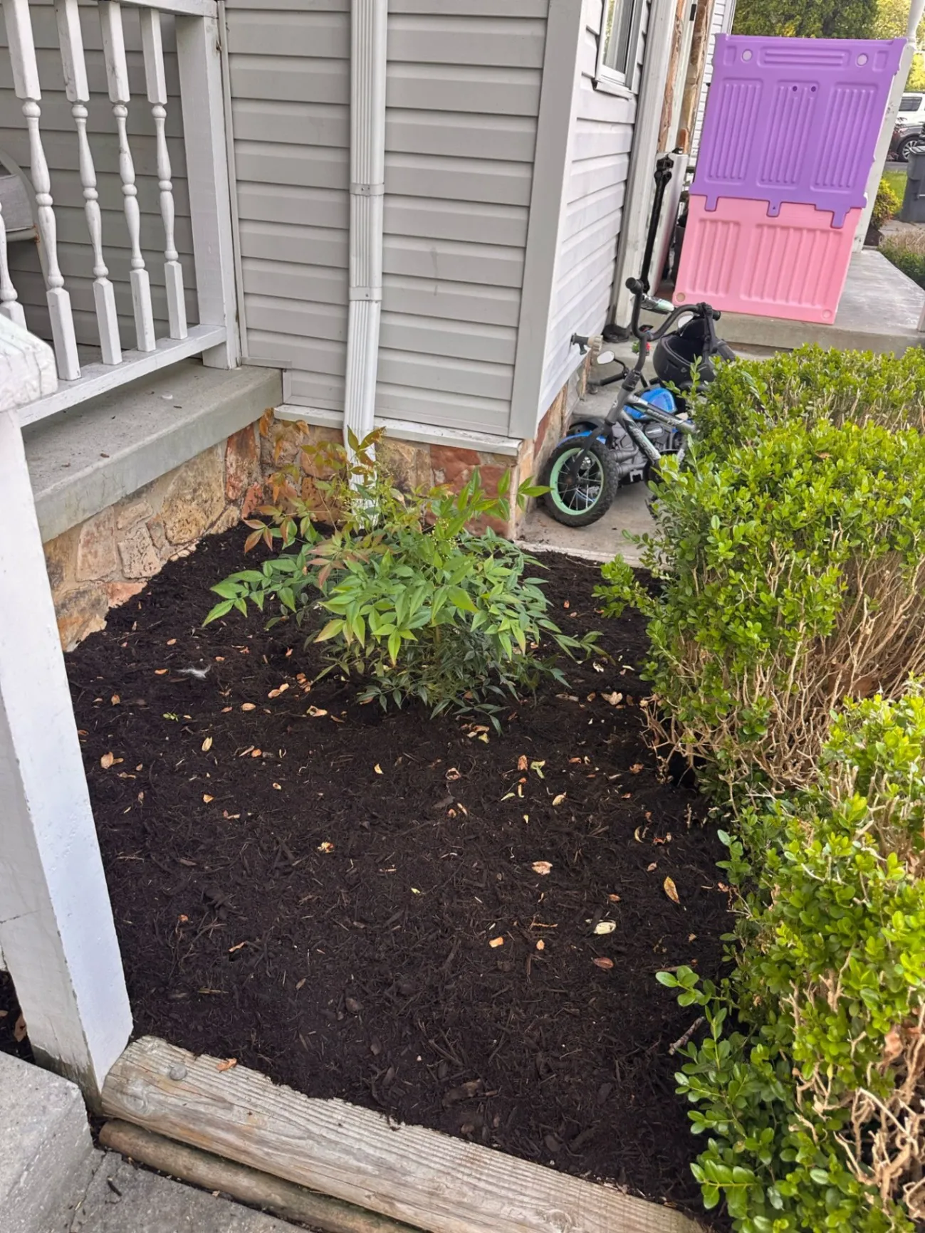 Gallery image 186