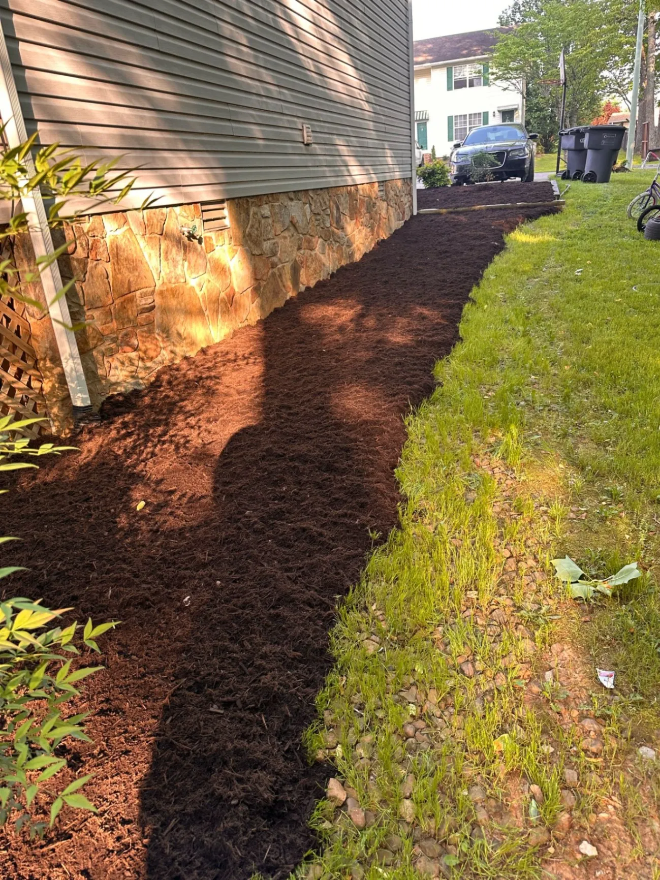 Gallery image 189