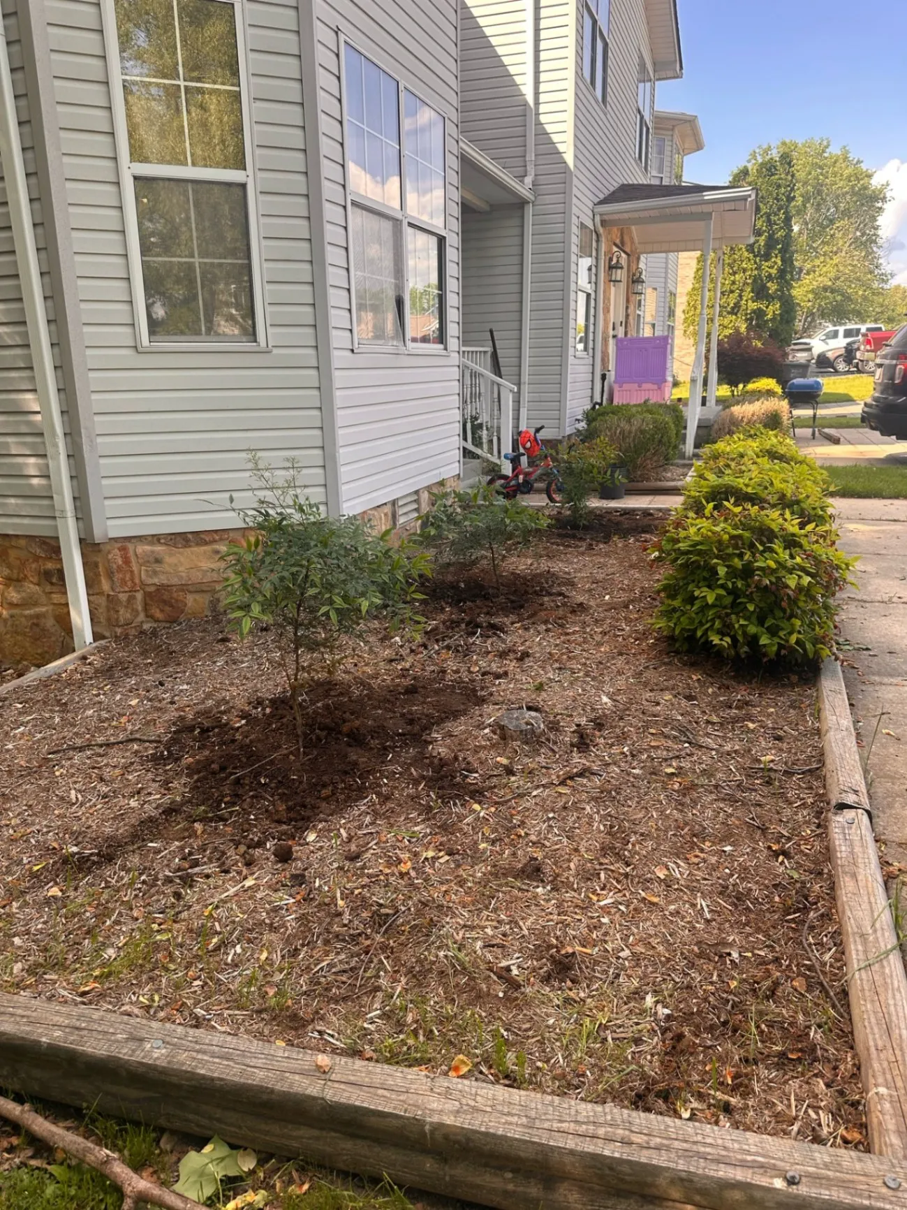Gallery image 207