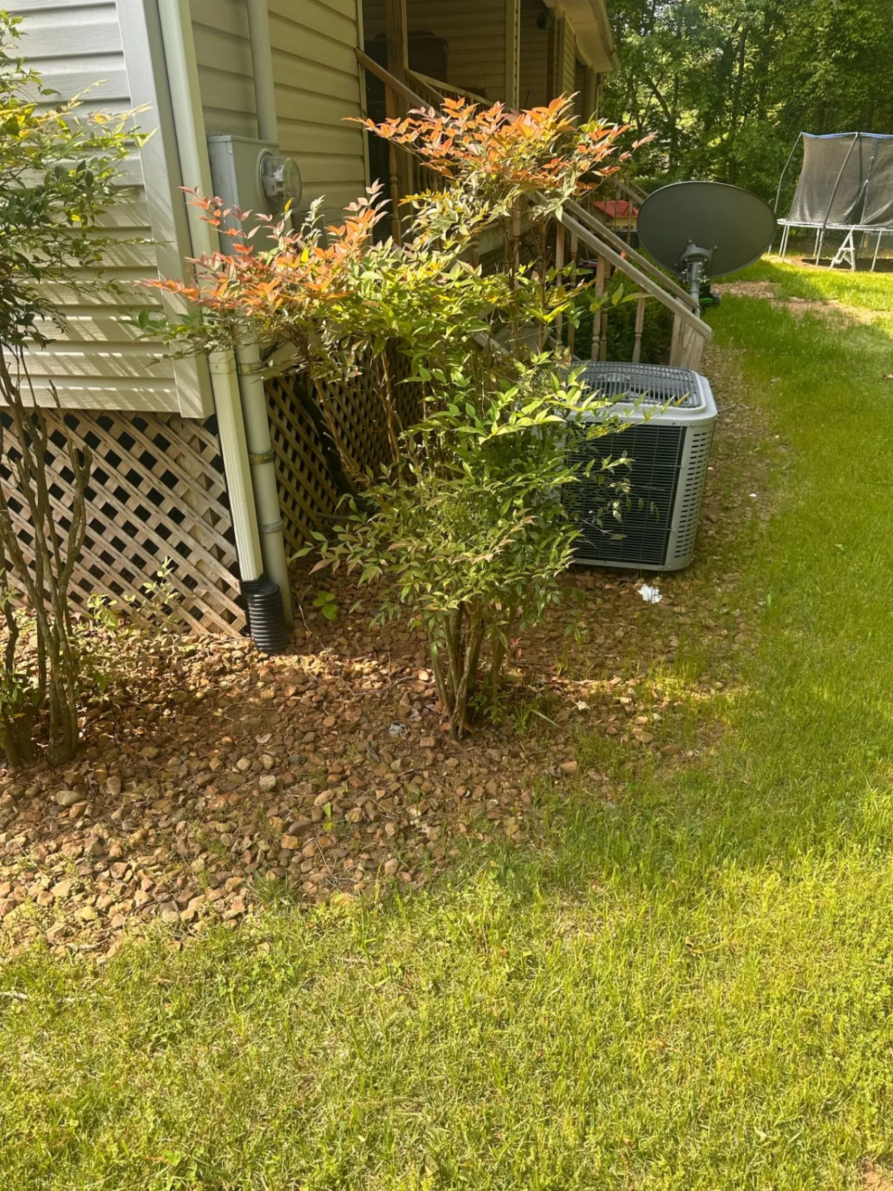 Gallery image 204