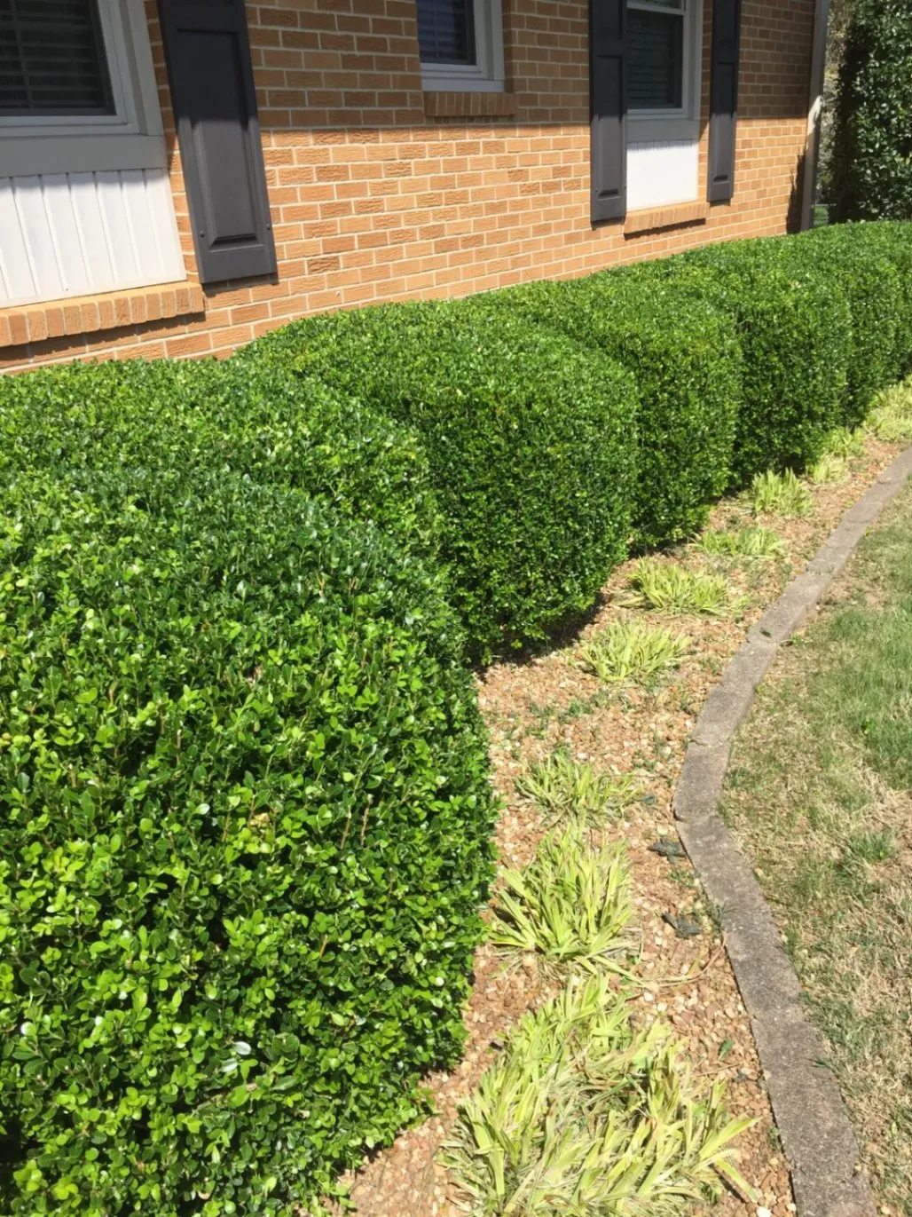 Gallery image 168