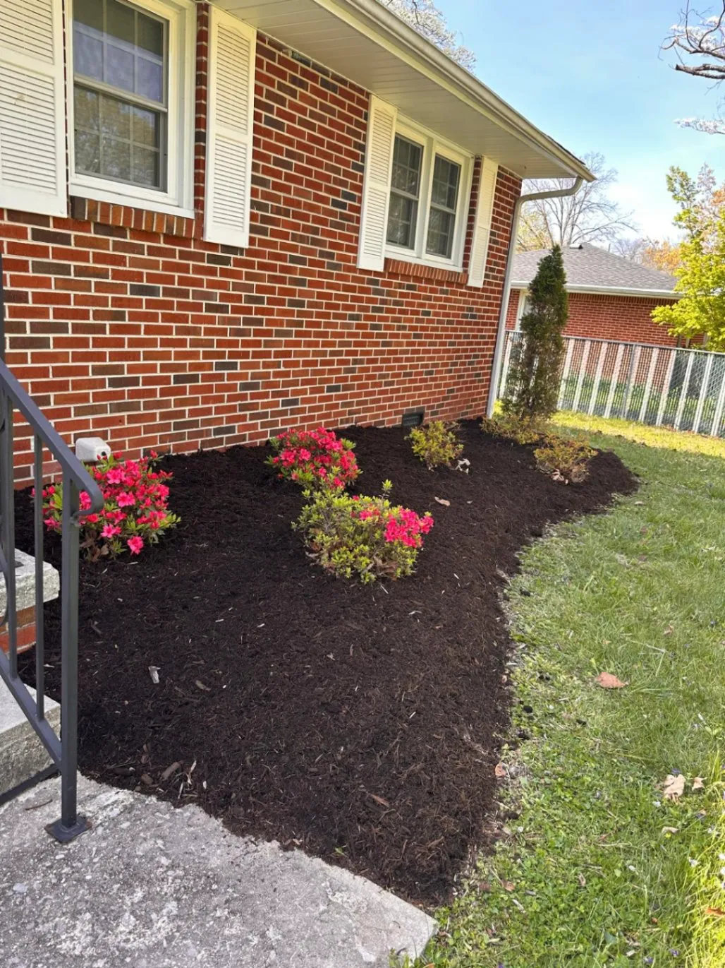 Gallery image 181