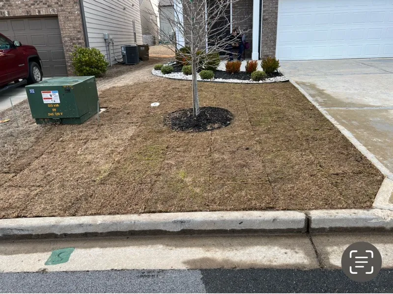 Gallery image 14