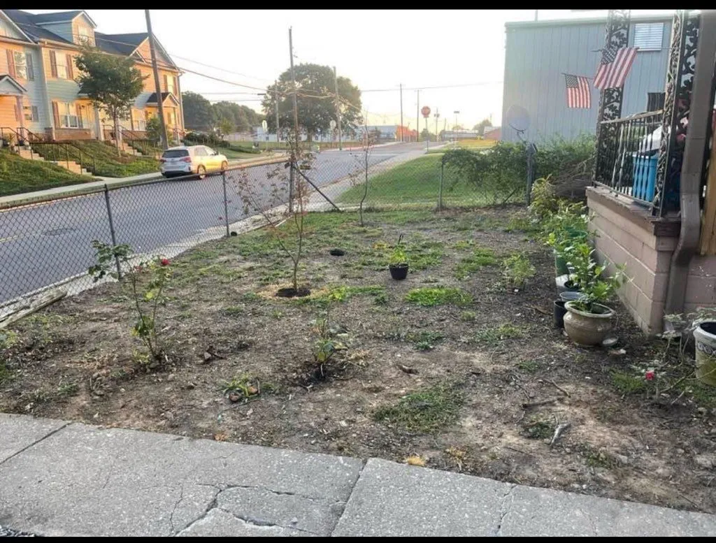 Gallery image 16