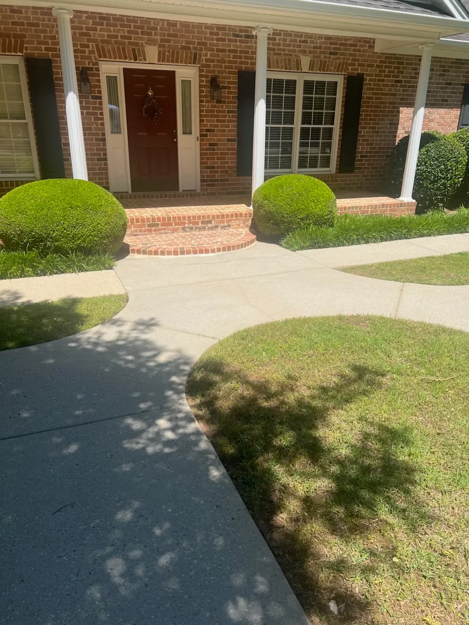 Gallery image 36