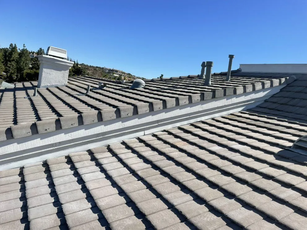 Roof Inspection