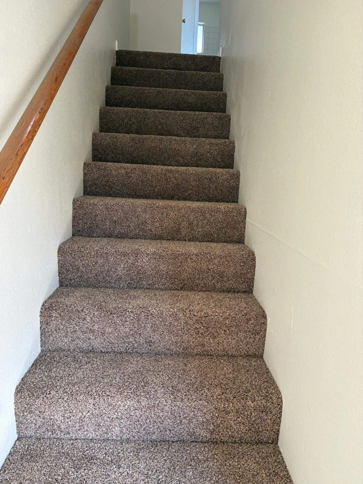 Car back view on road