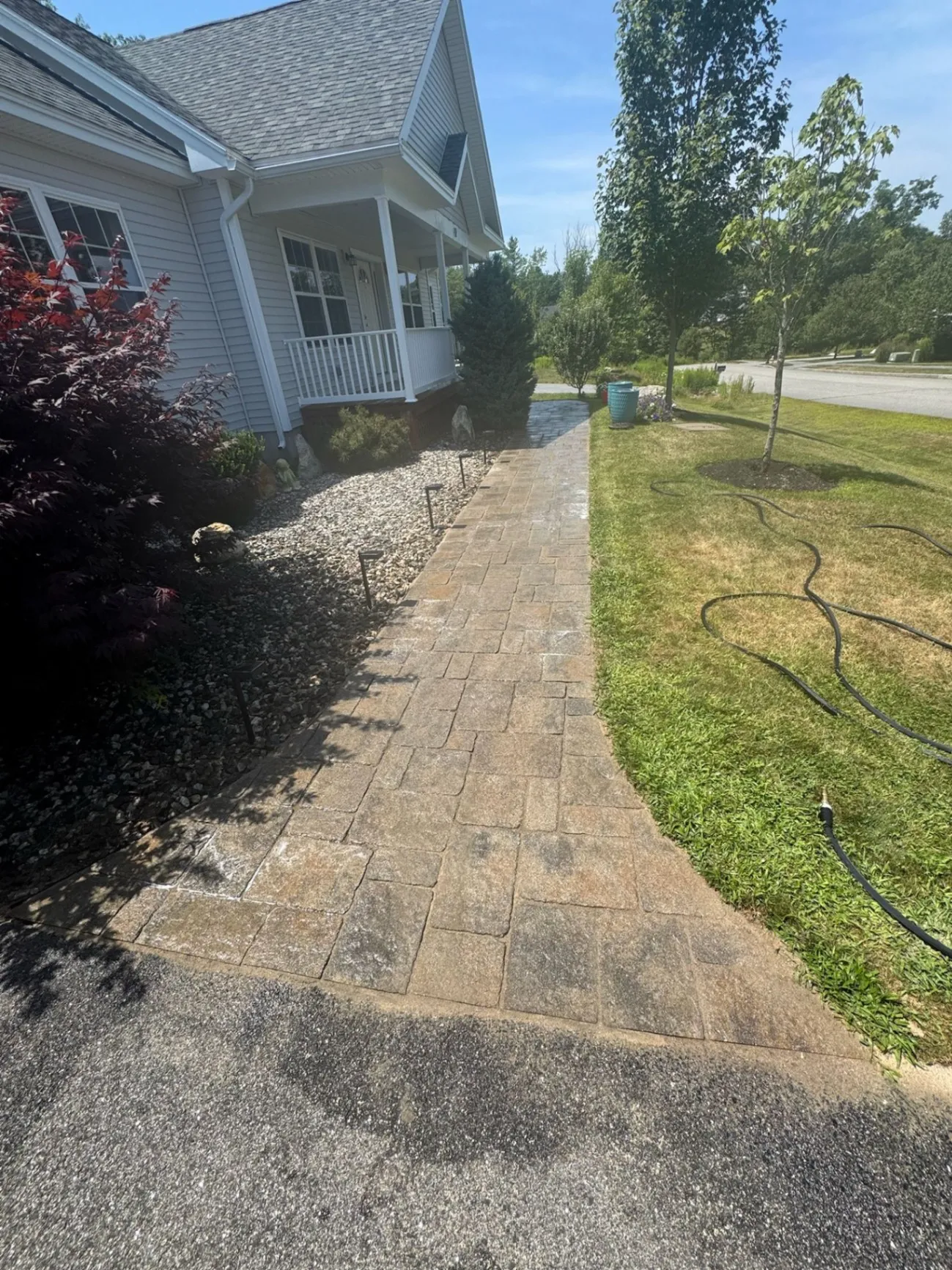 Gallery image 61